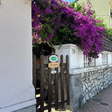 La Moggia Lavagna