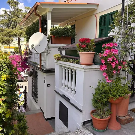 La Moggia Lavagna