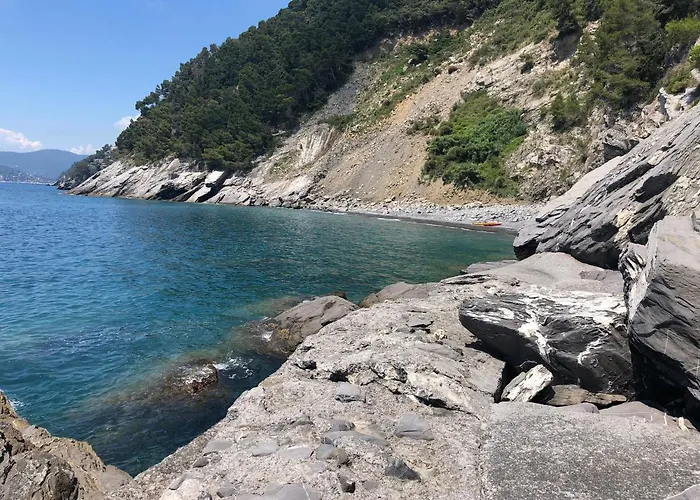 La Moggia Lavagna