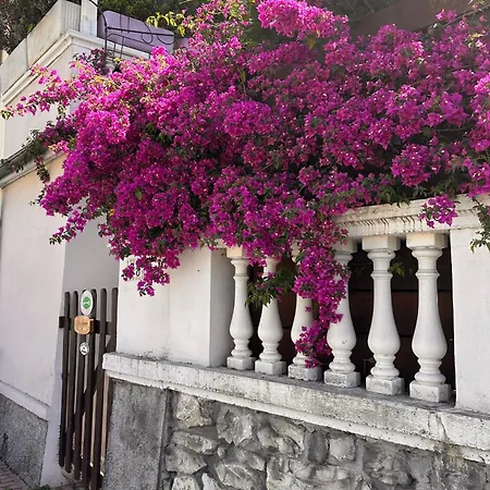 Hébergement de vacances La Moggia